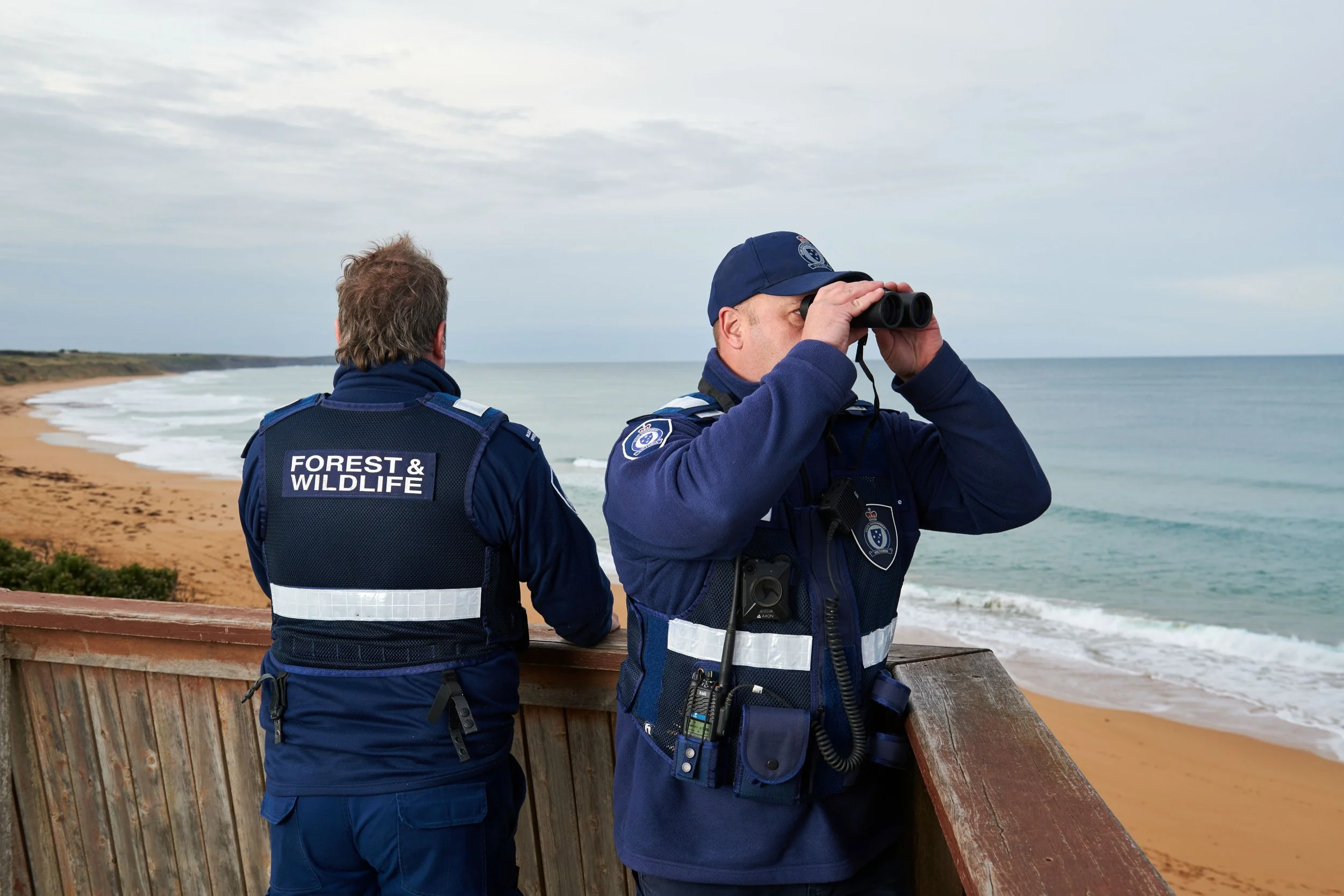 Coastal and Marine Wildlife: Keep us safe, give us space