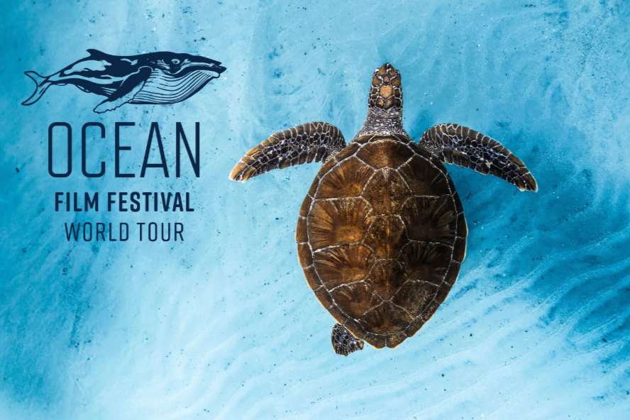 Ocean Film Festival  