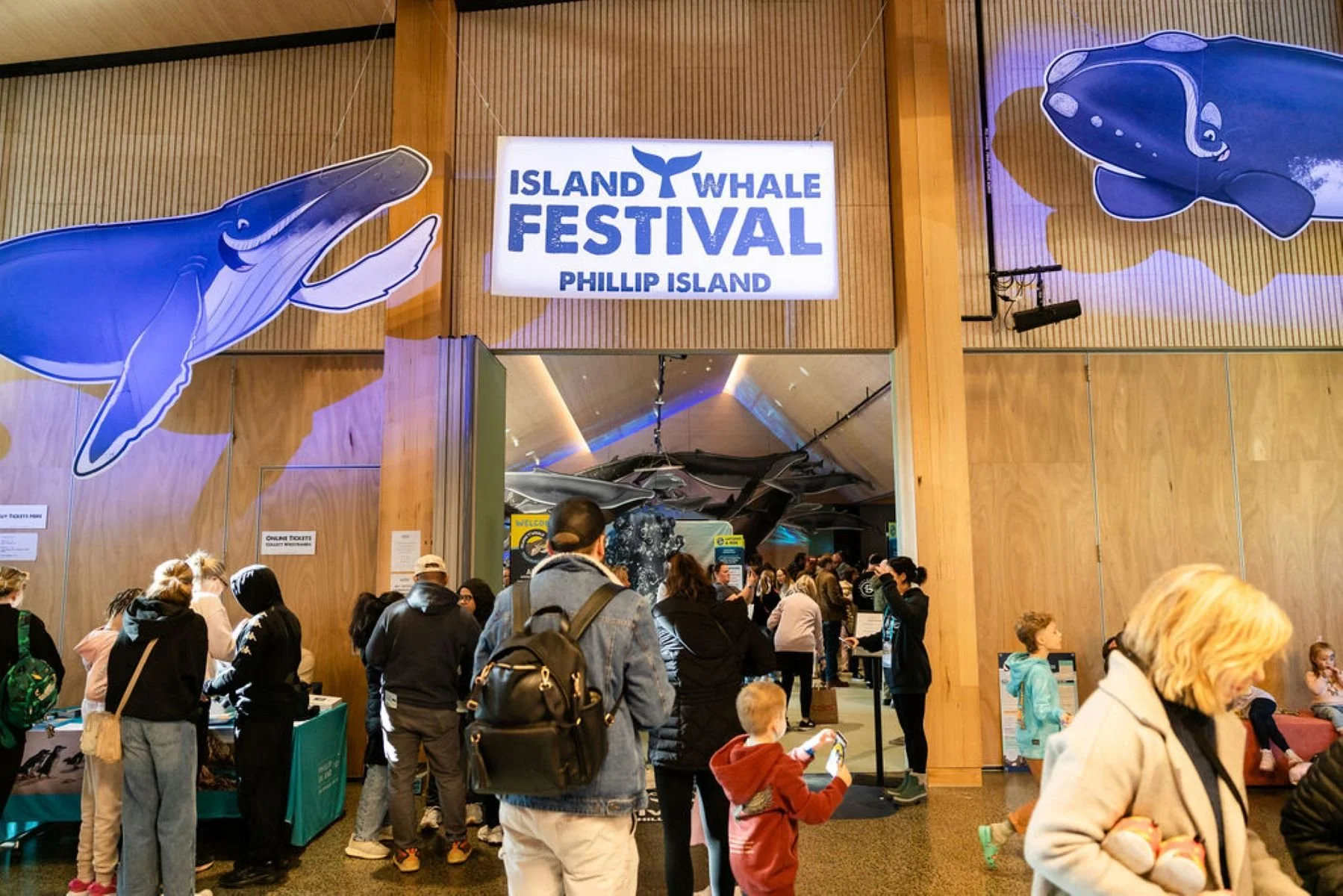 Festival Experience Hub