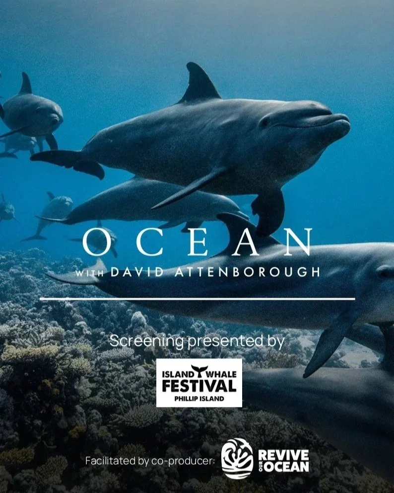 Ocean with David Attenborough
