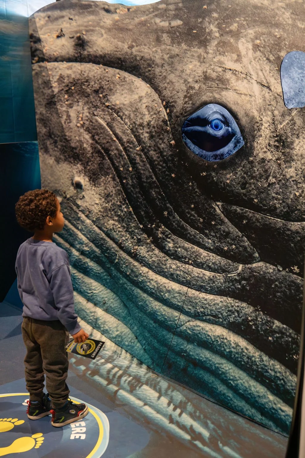 kid and whale eye.jpg