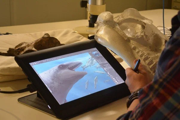 Recreating Ancient Sea Life with Palaeontologits