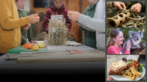 Into the Wild: Create and Connect at Maru 