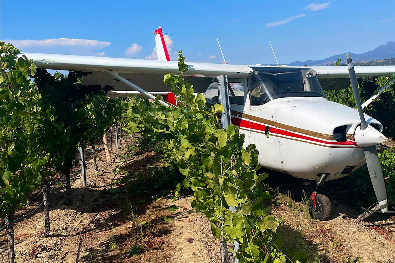 Wine &amp; Flying: Two Passions That Share the Same Soul