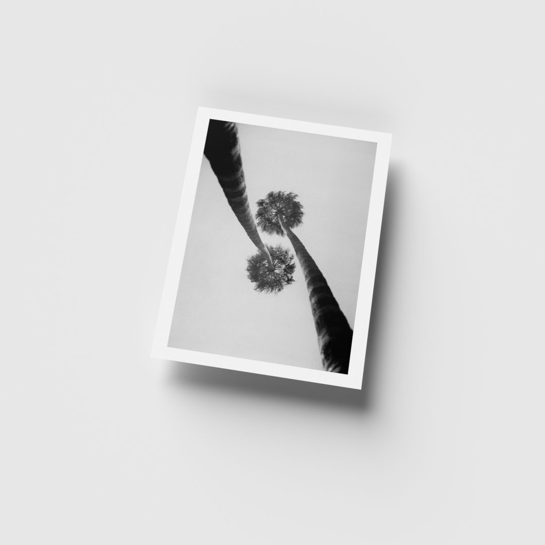 0002_8.5x11 render_For Web-Current View.png