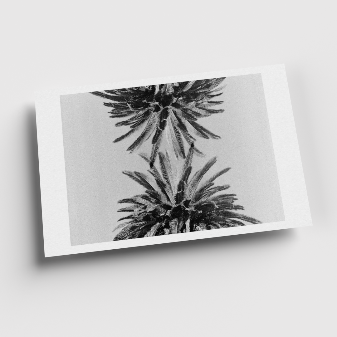 0003_11x17 render_For Web-Current View.png