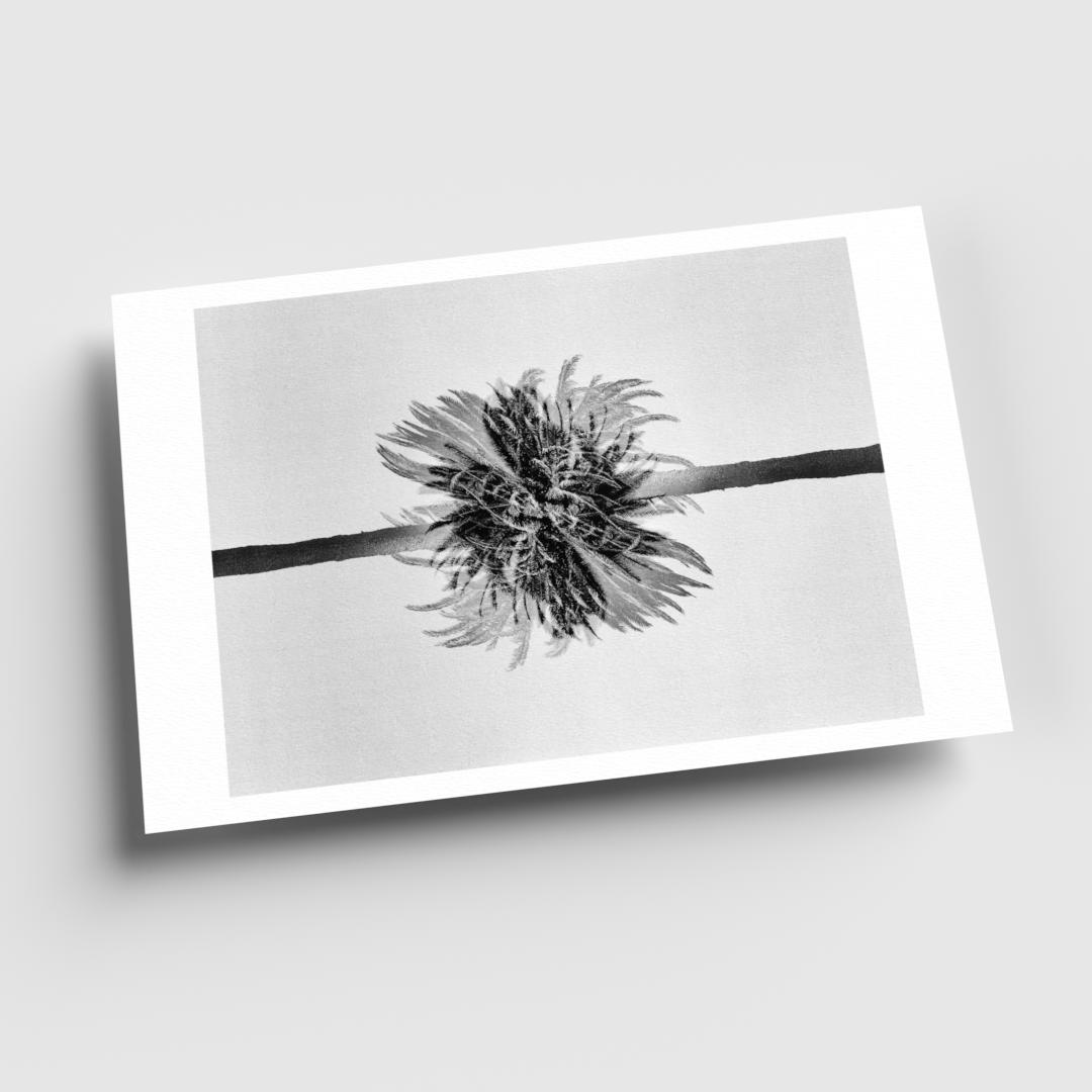 0004_11x17 render_For Web_Hori-Current View.png