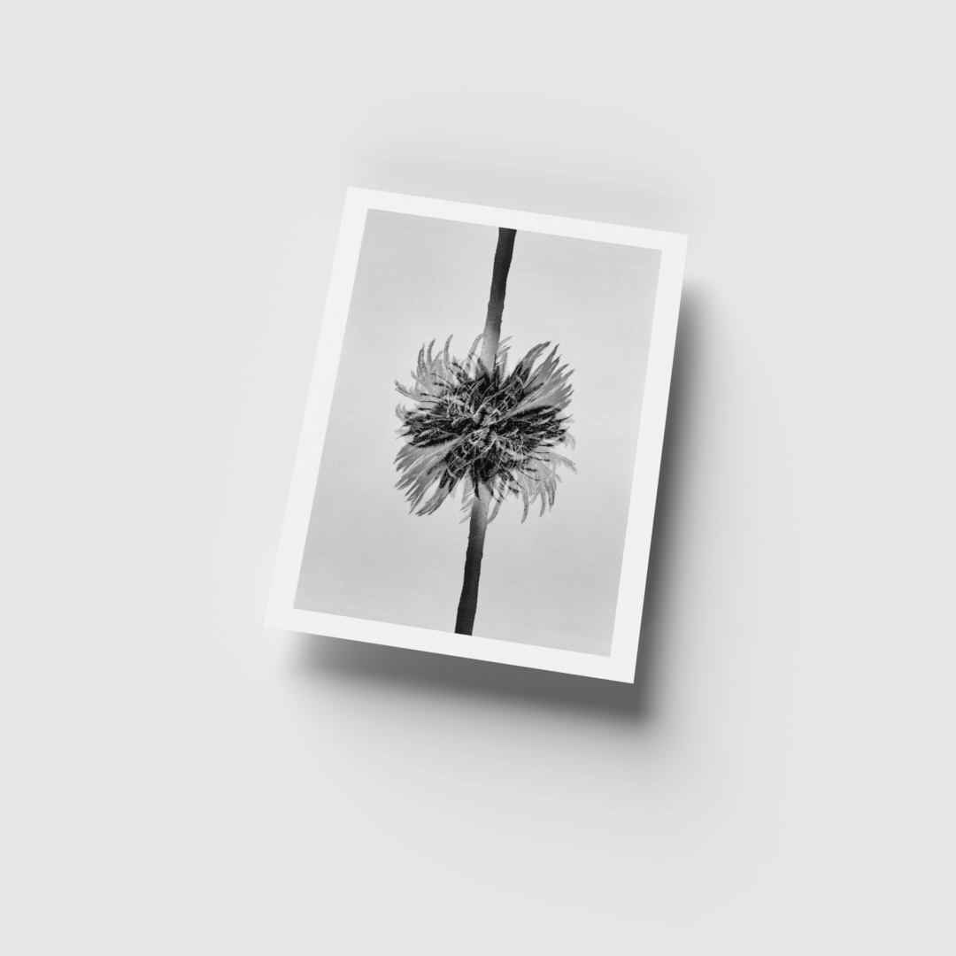 0004_8.5x11 render_For Web_Vert-Current View.png