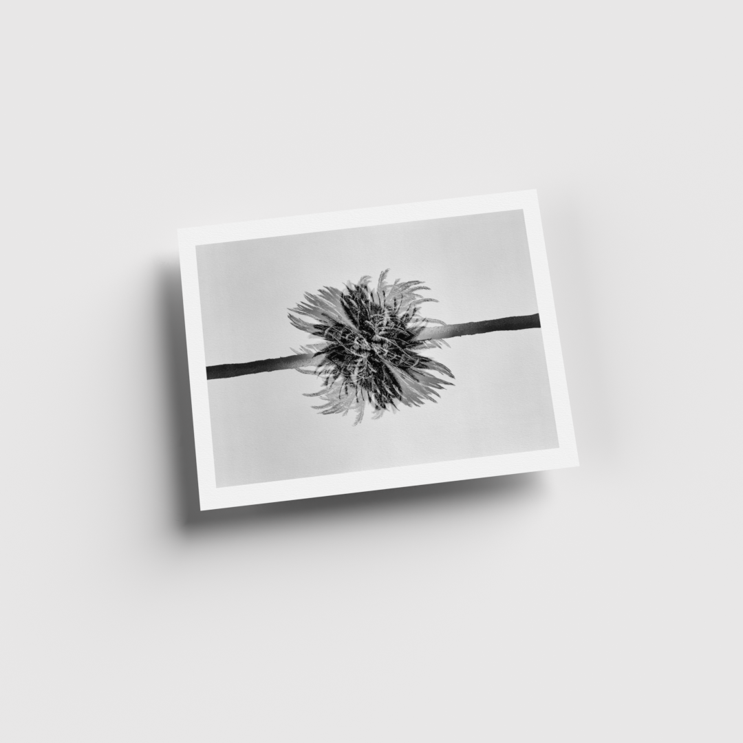 0004_8.5x11 render_For Web_Hori-Current View.png