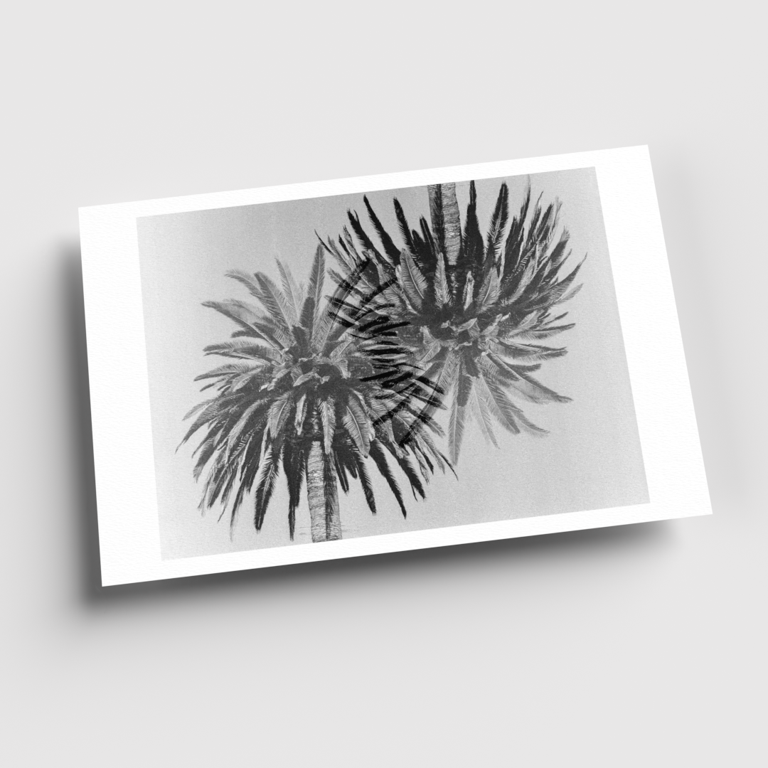 0006_11x17 render_For Web_Hori-Current View.png