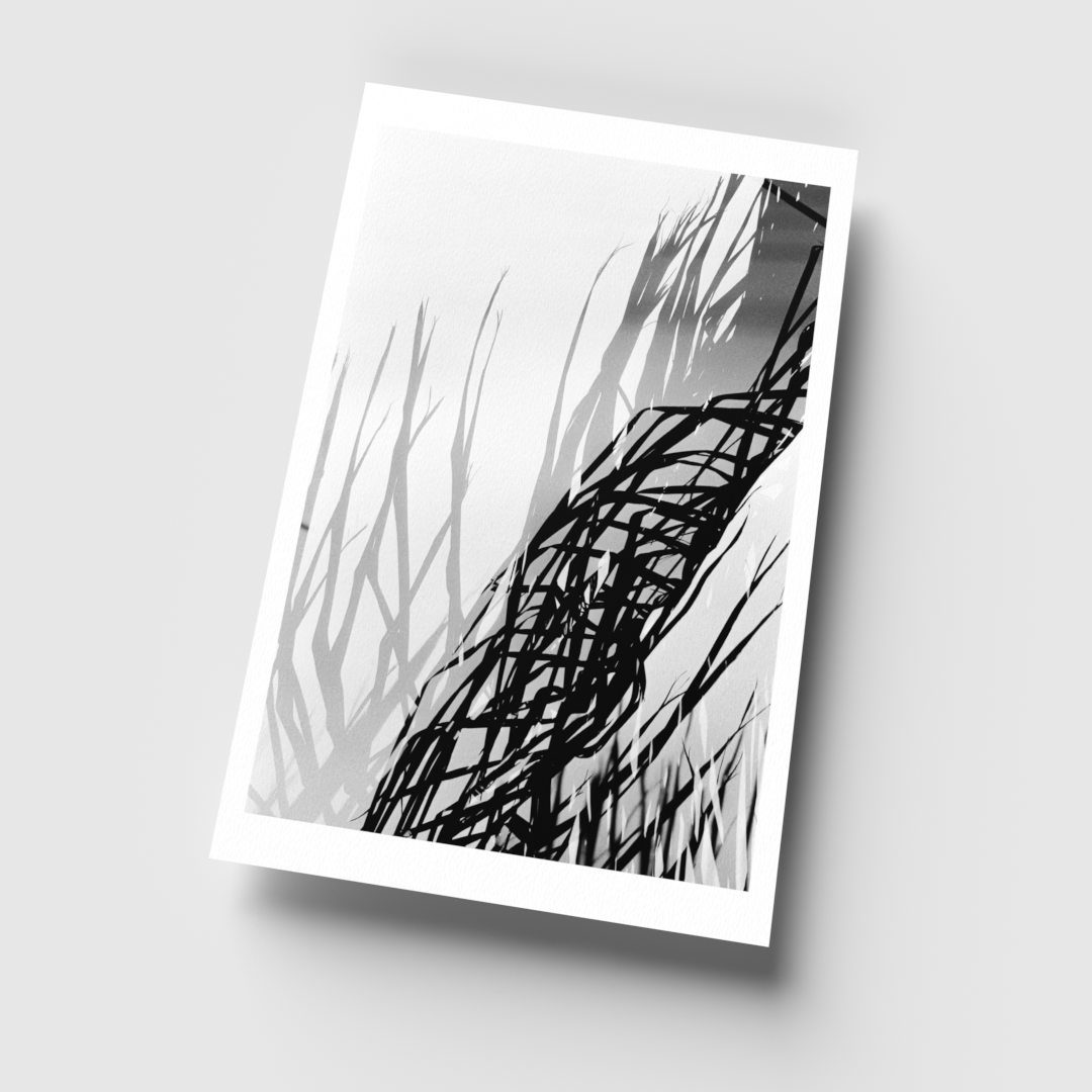 0001_11x17 render_For Web-Current View.png