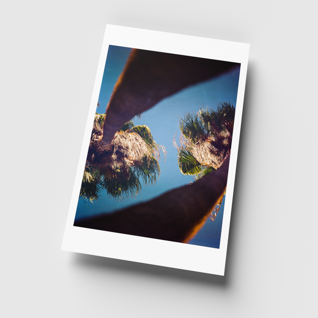 0010_11x17 render_For Web-Current View.png