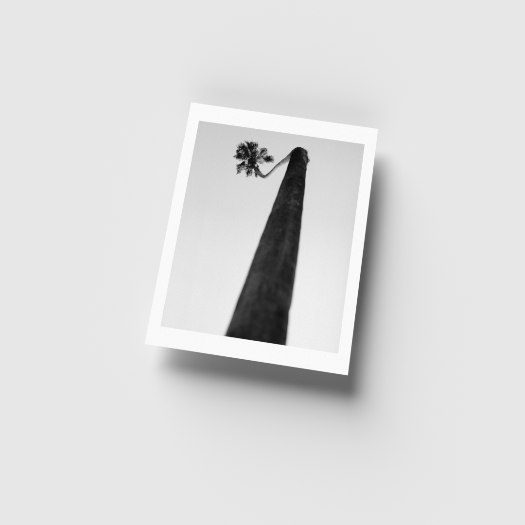 0015_3D 8.5x11 render_For Web-Current View.png