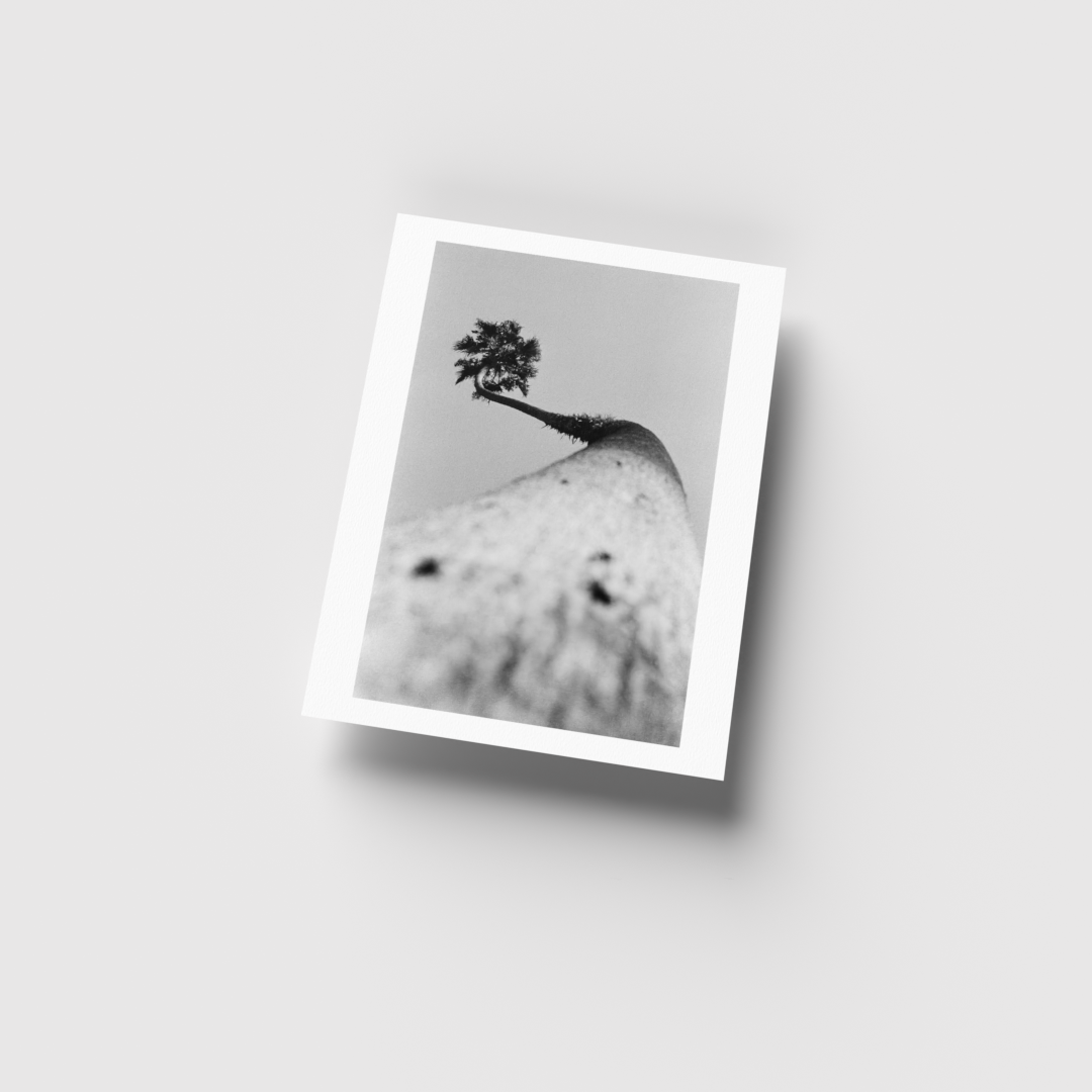 0017_3D 8.5x11 render_For Web-Current View.png