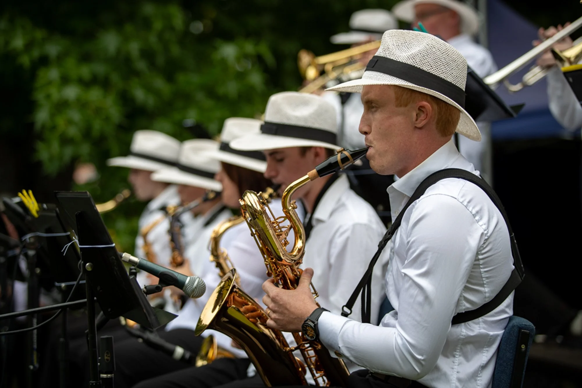 Jazz in the Park