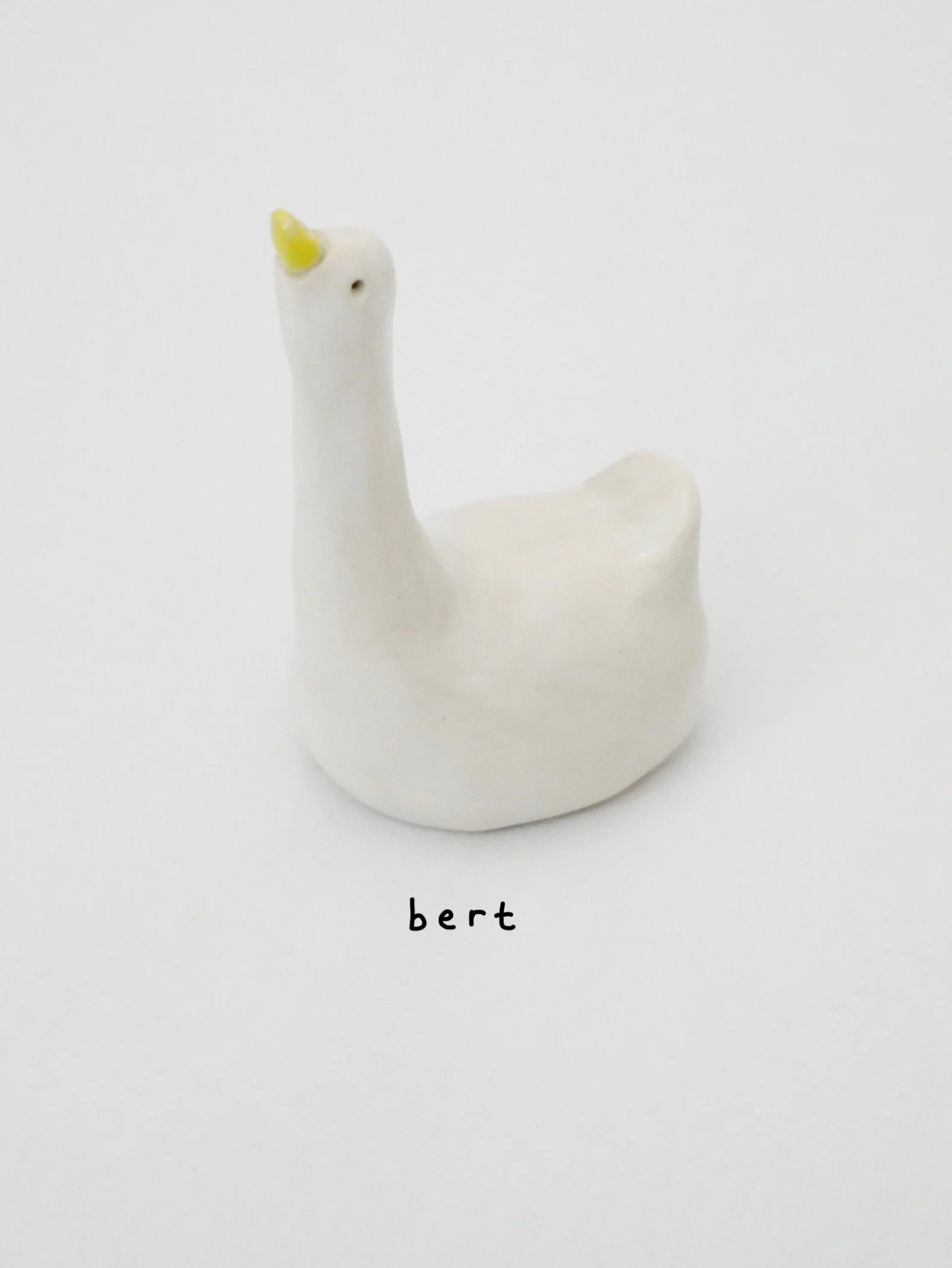 bert.jpg