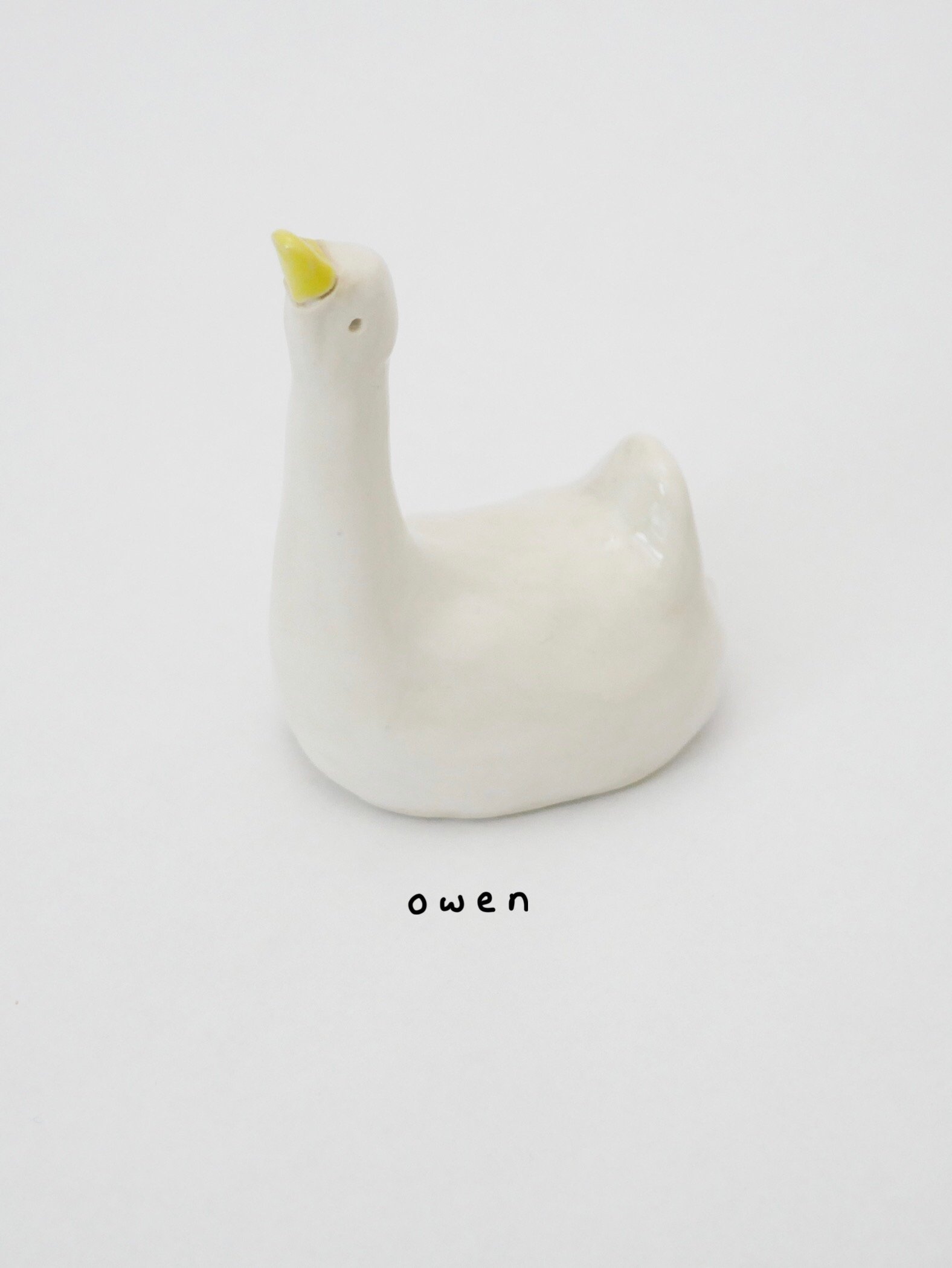 owen.jpg