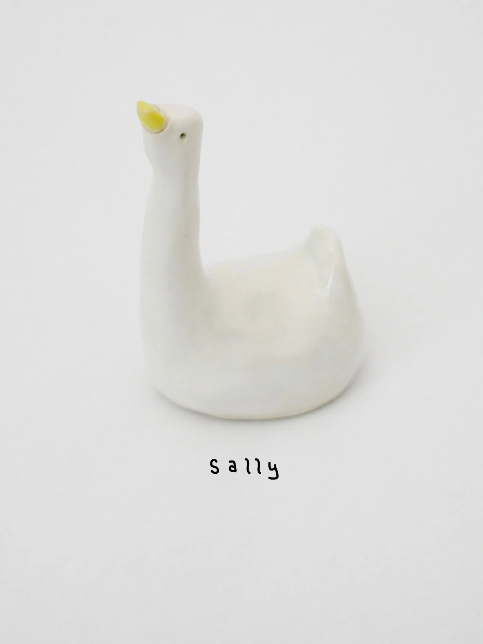 sally.jpg