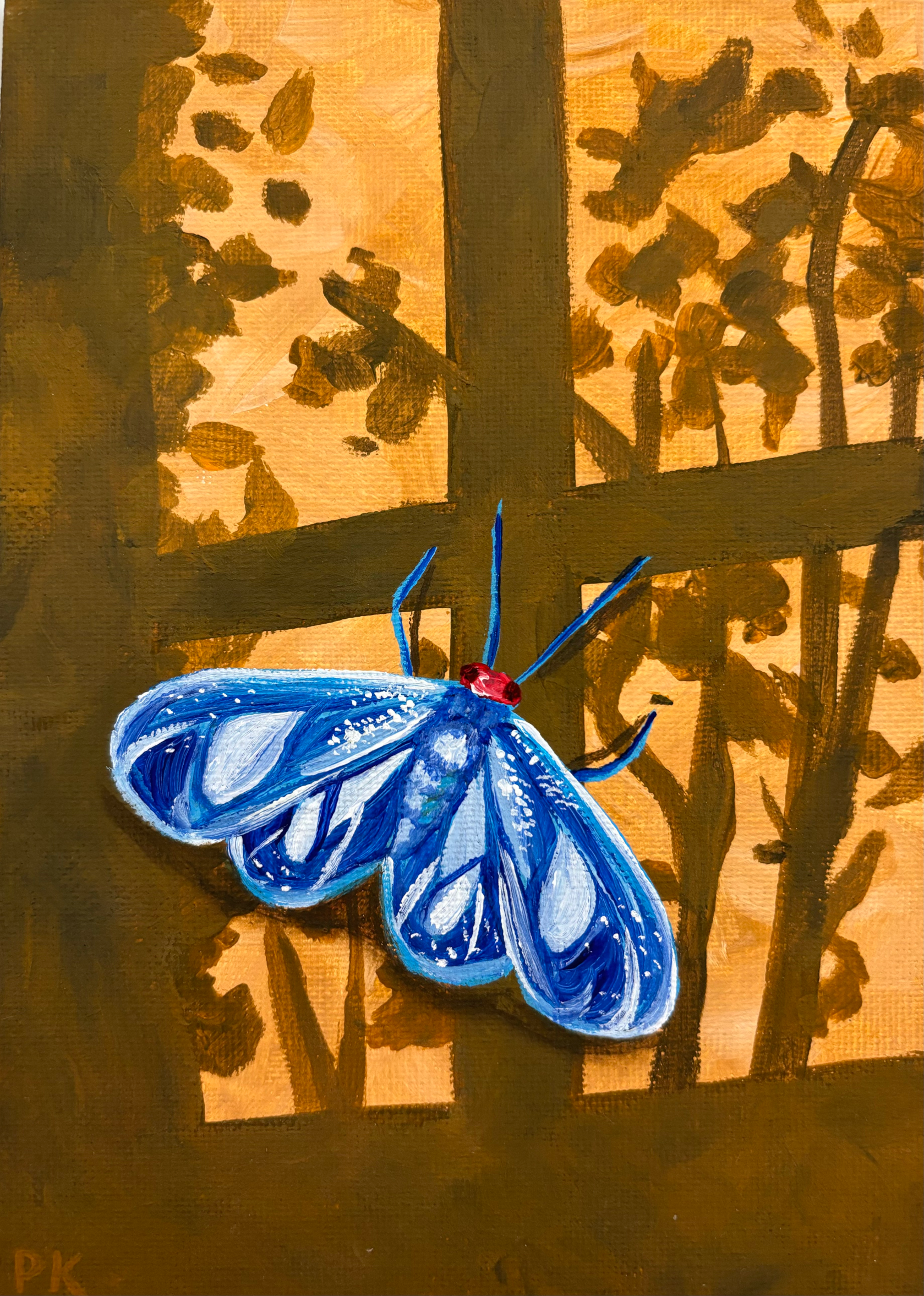 Blue Moth- 5"x7" Original Painting