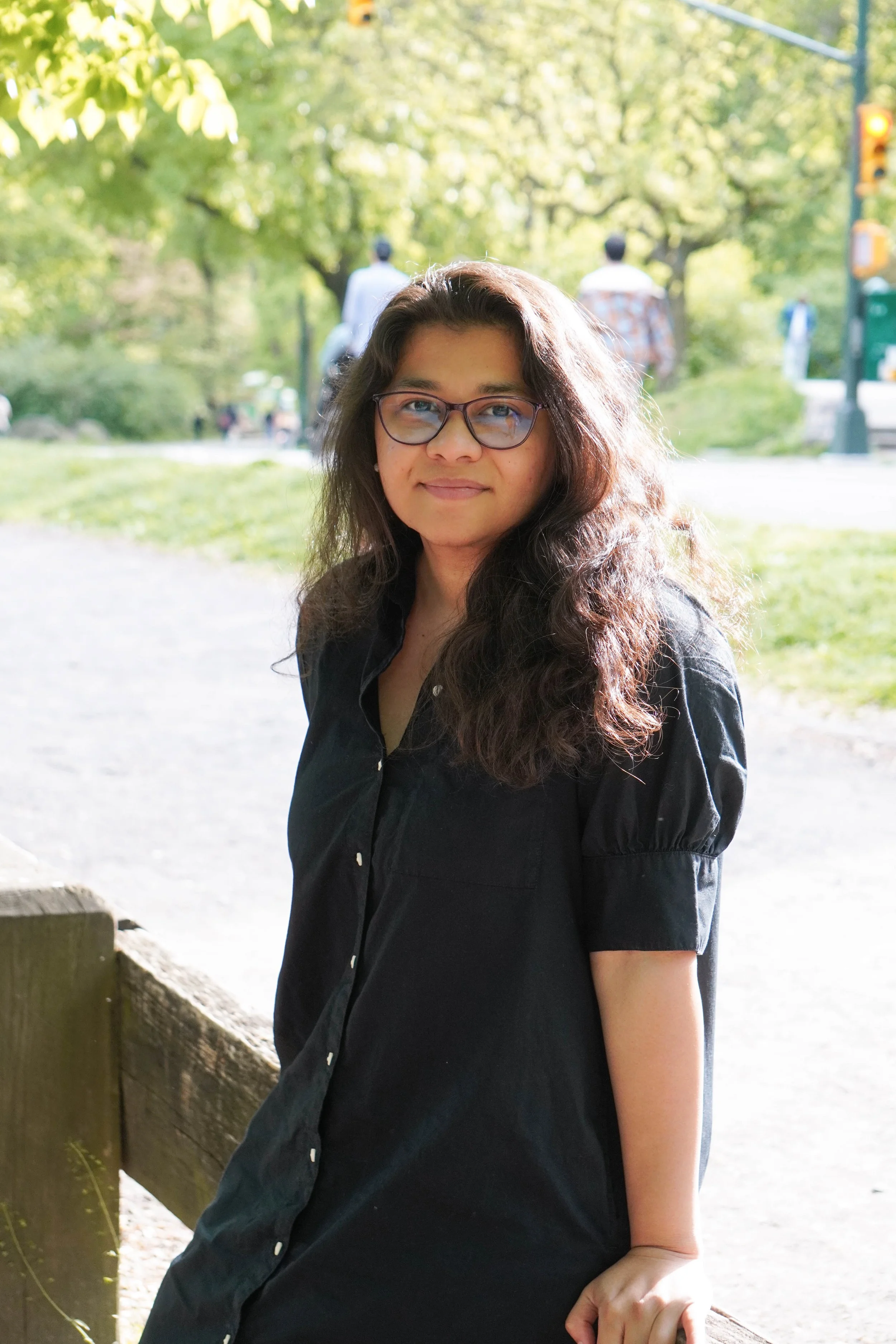 Snow Falls, City Halts