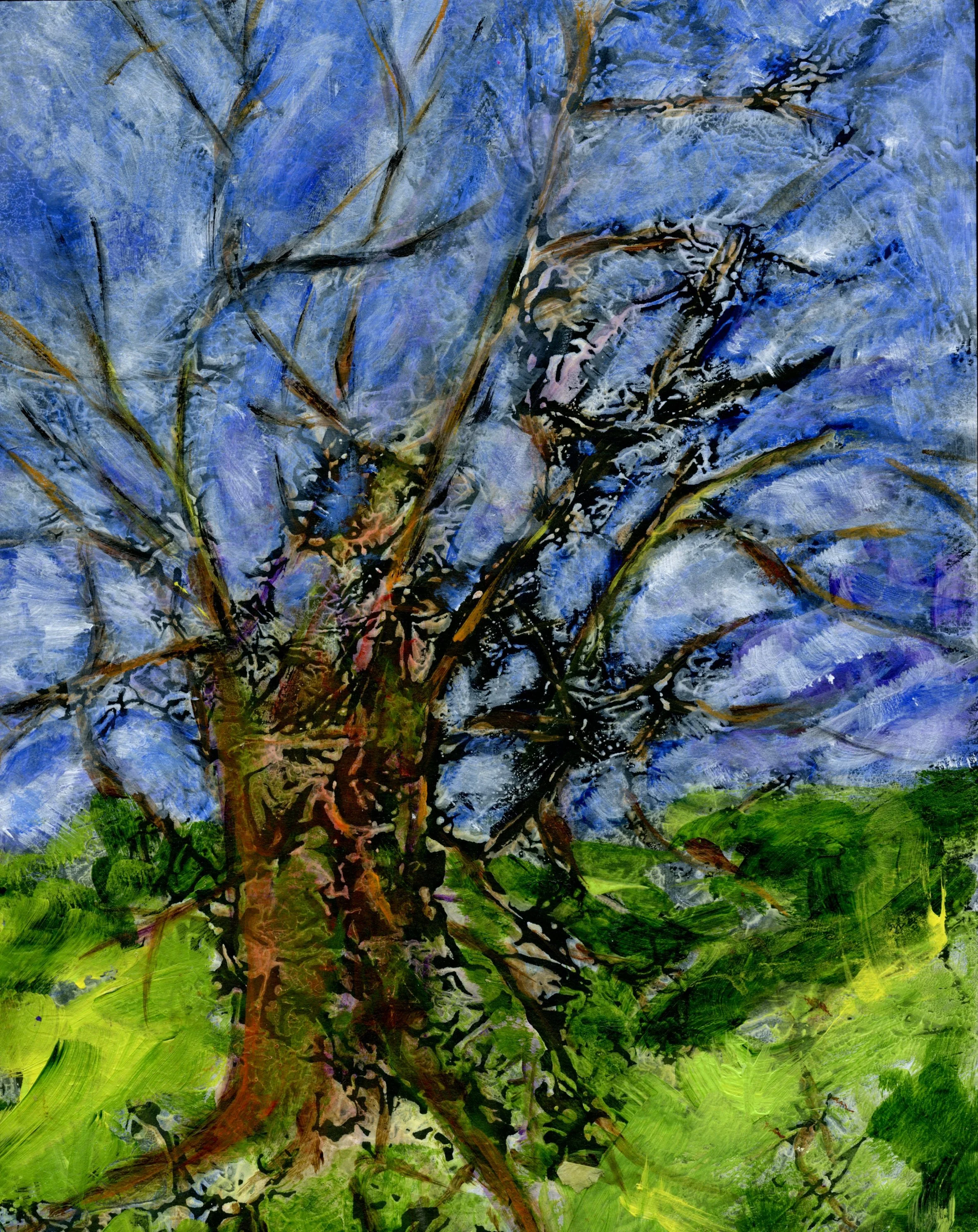 j052.jpg