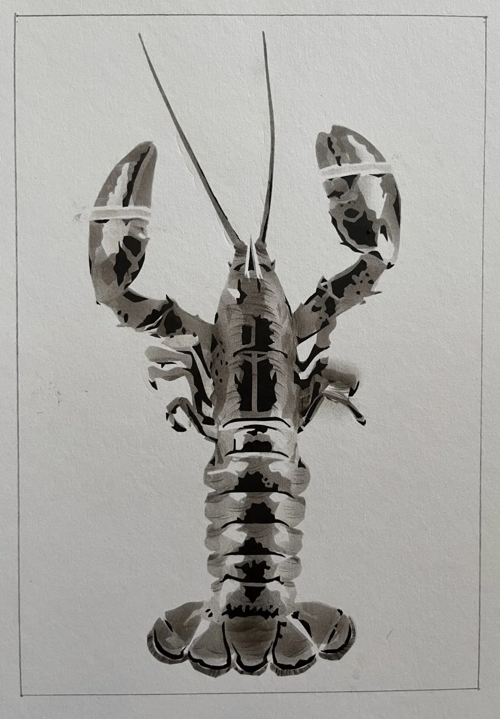 IMG_0500.jpg
