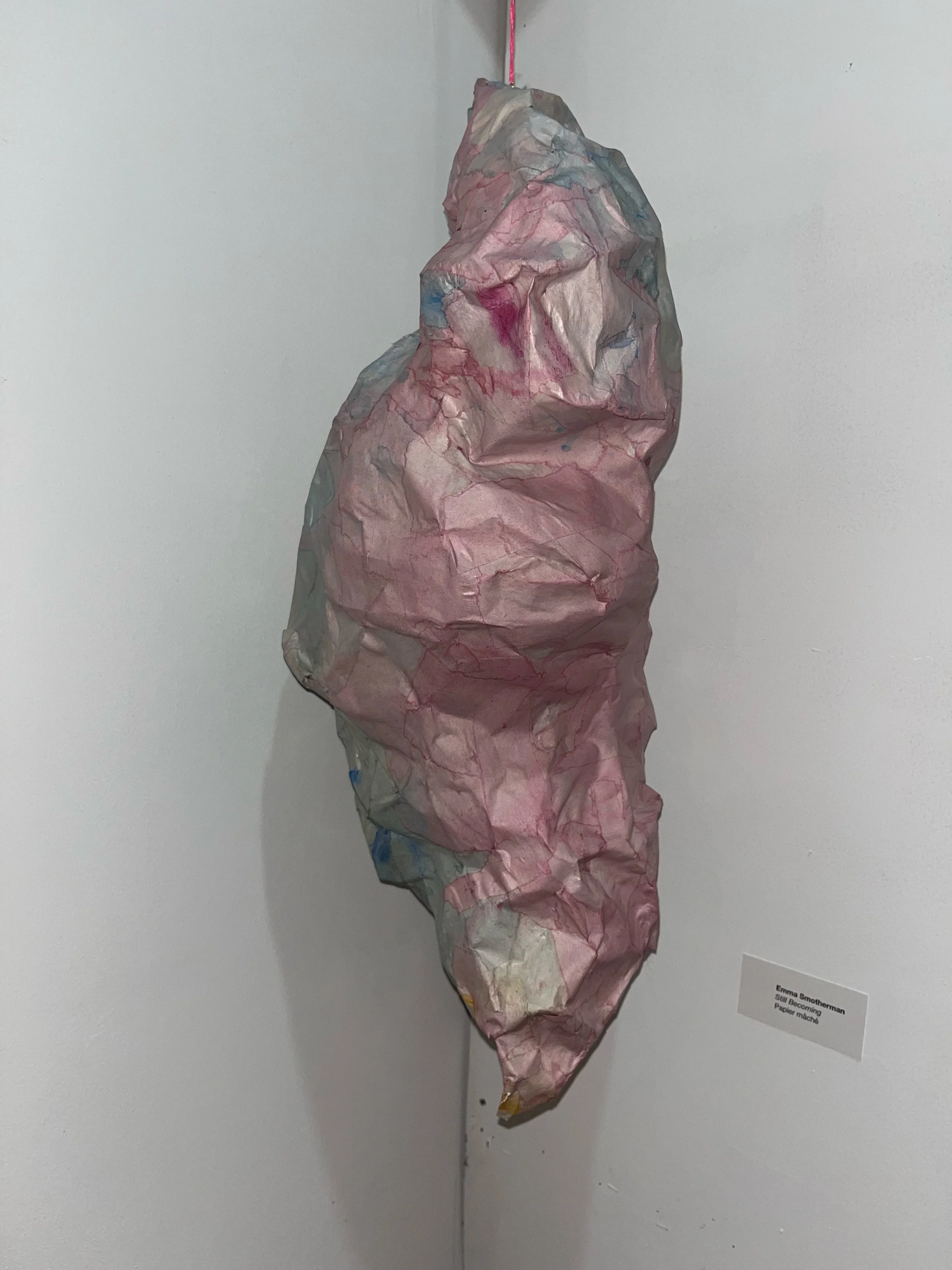 smothermanemma_LATE_1523_174186_1734231720.1769772.jpg