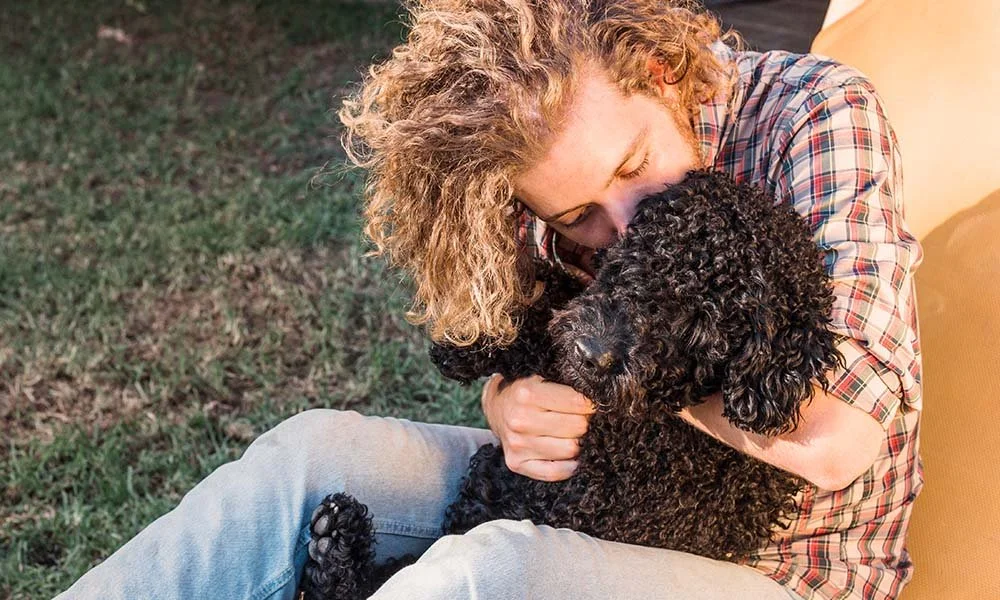 Why Groodles Make Great Pets for First-Time Dog Owners