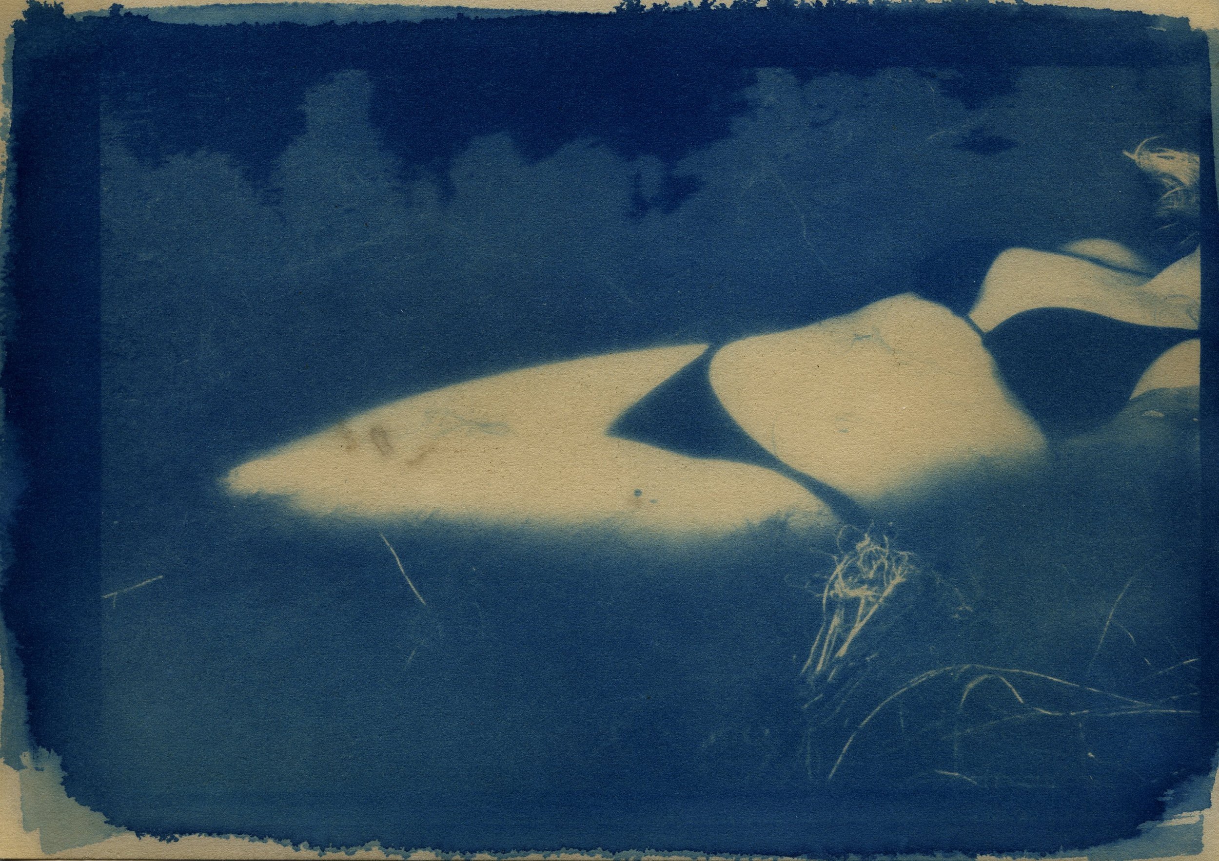 Cyanotype