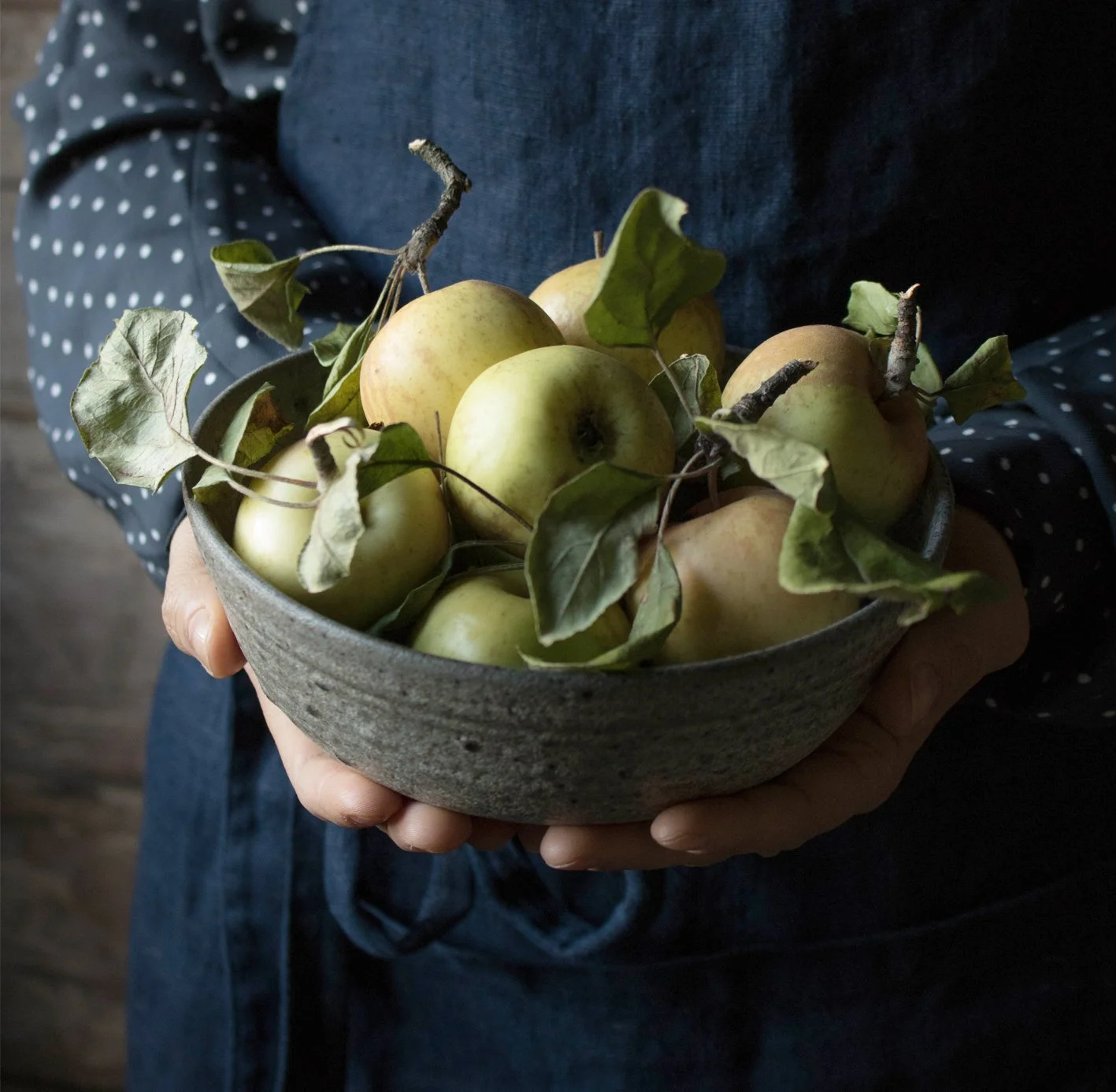 Person holding a bowl of apples with leaves