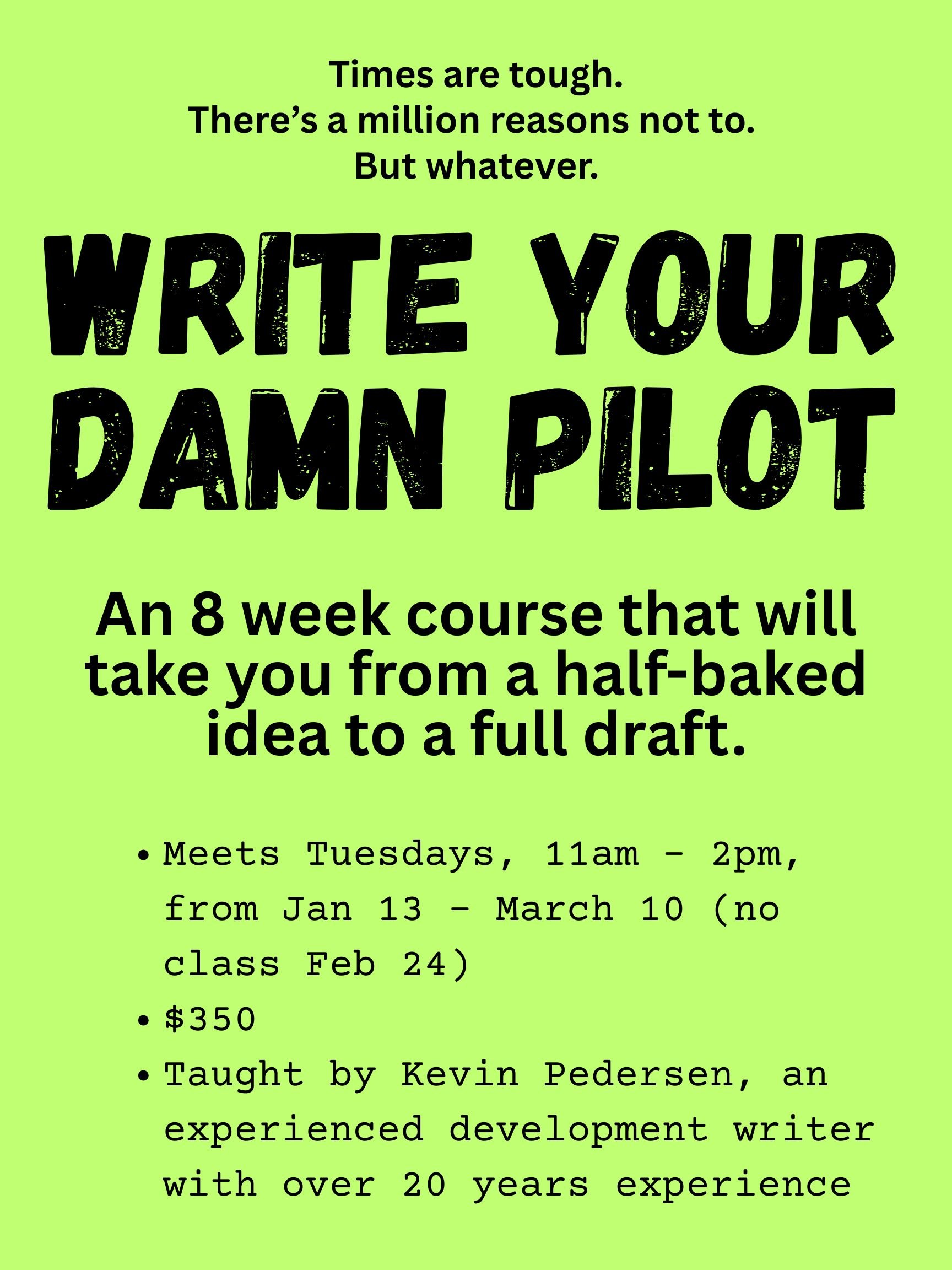 WRITE YOUR DAMN PILOT.jpg
