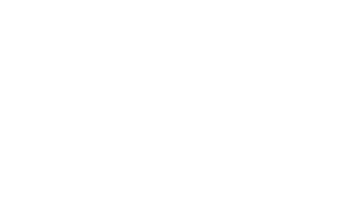Swim with Whales - Explore Tonga - Whale Discoveries