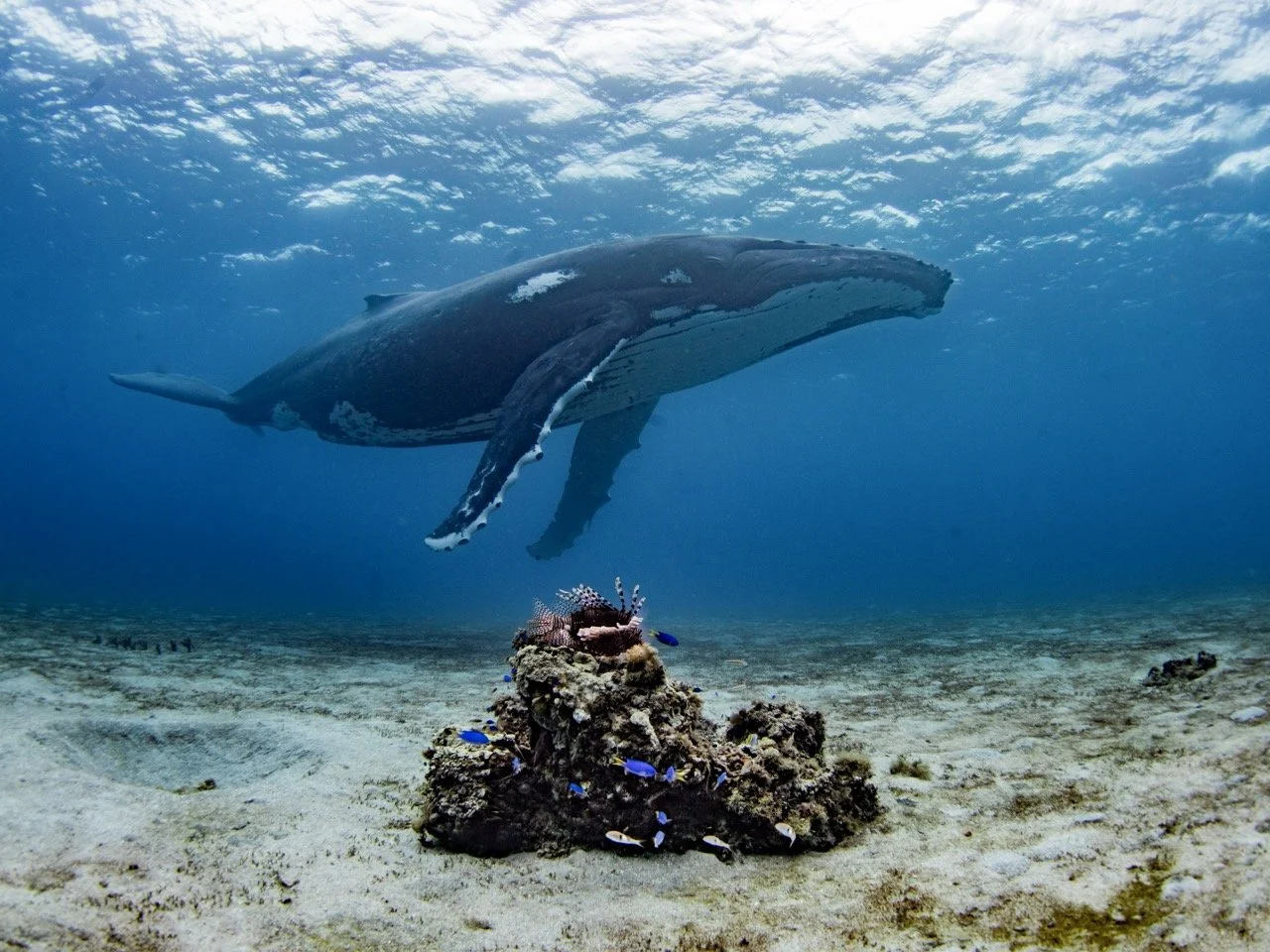 by the reef-2 Large.jpeg