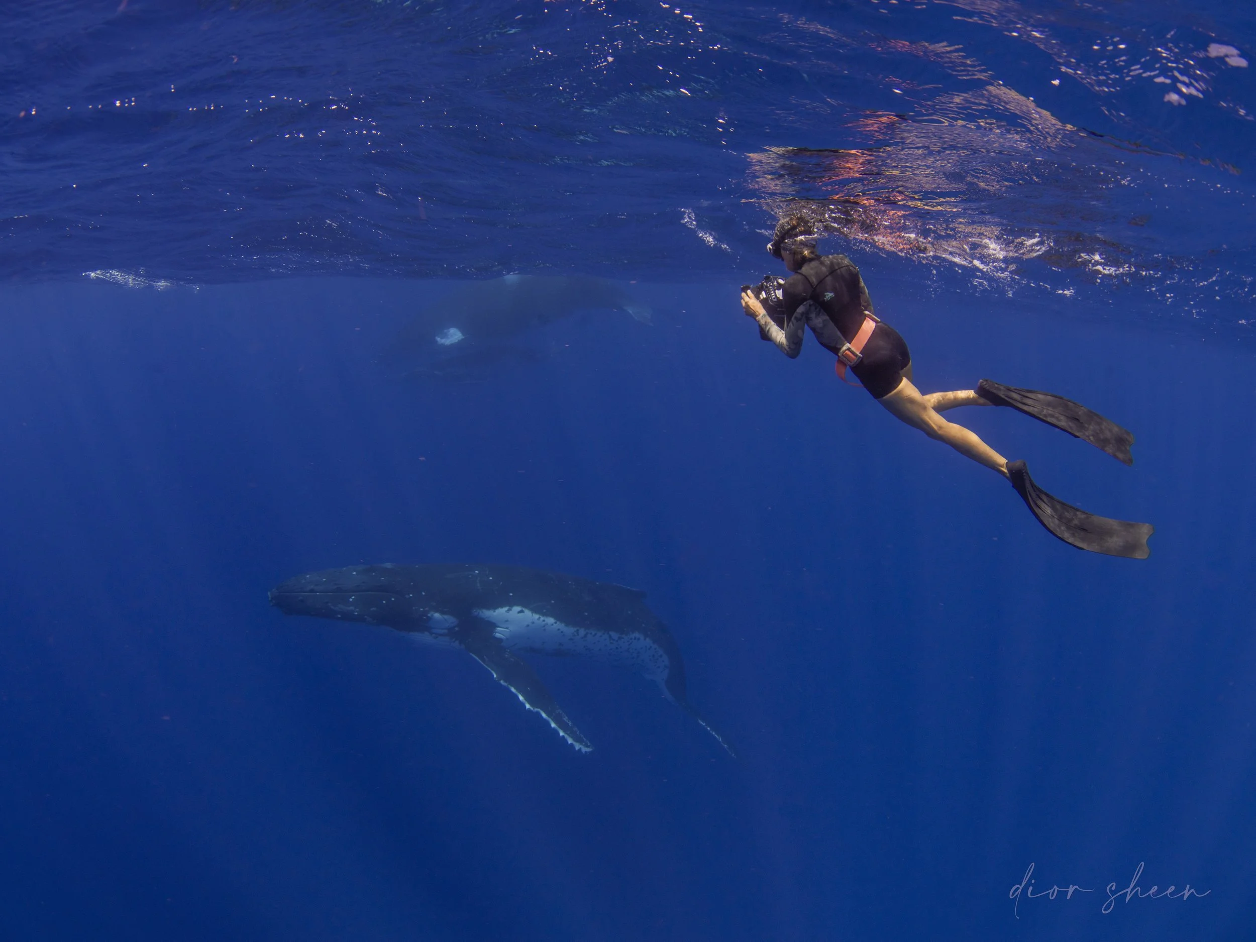 Tris in her element