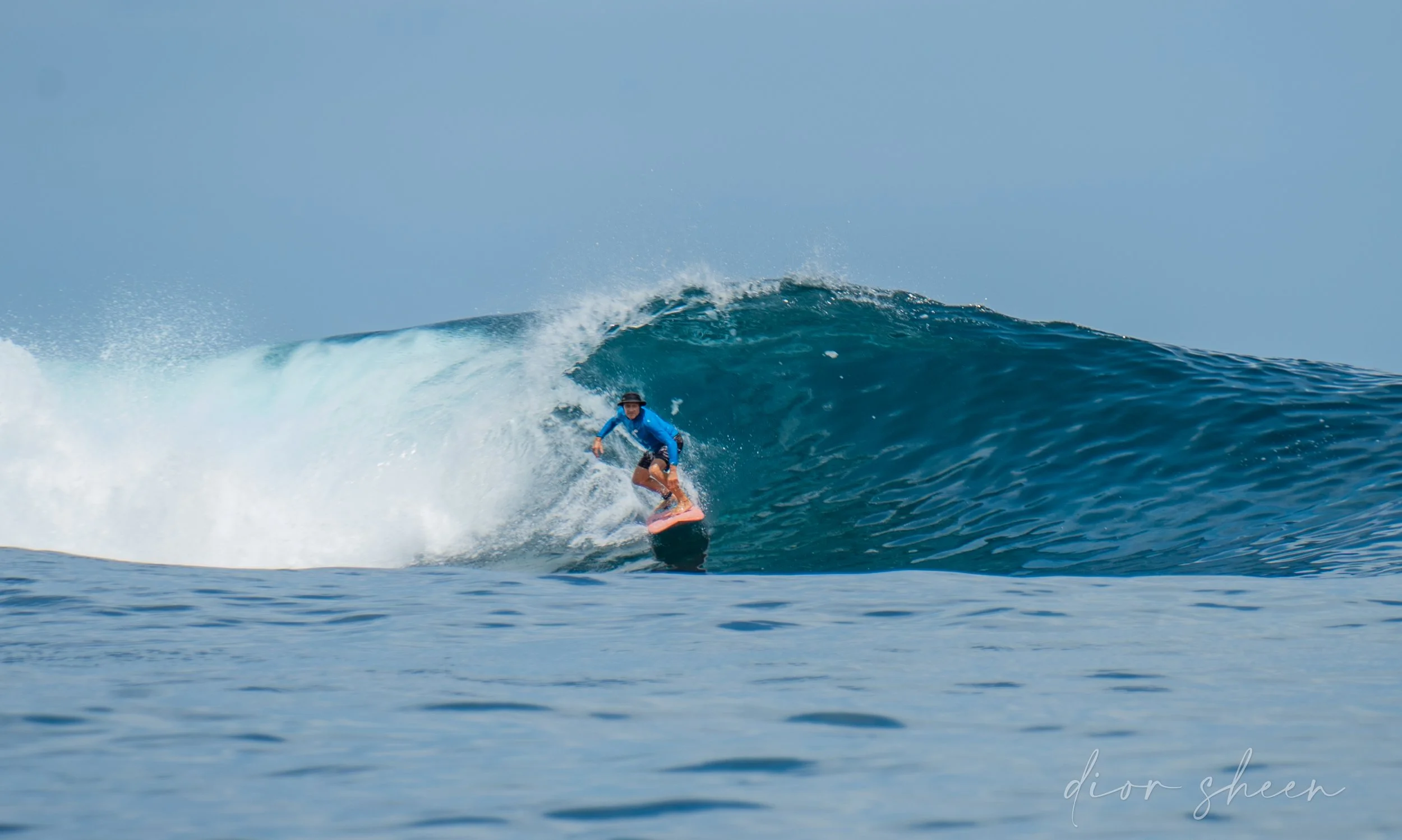 Dave rippin 