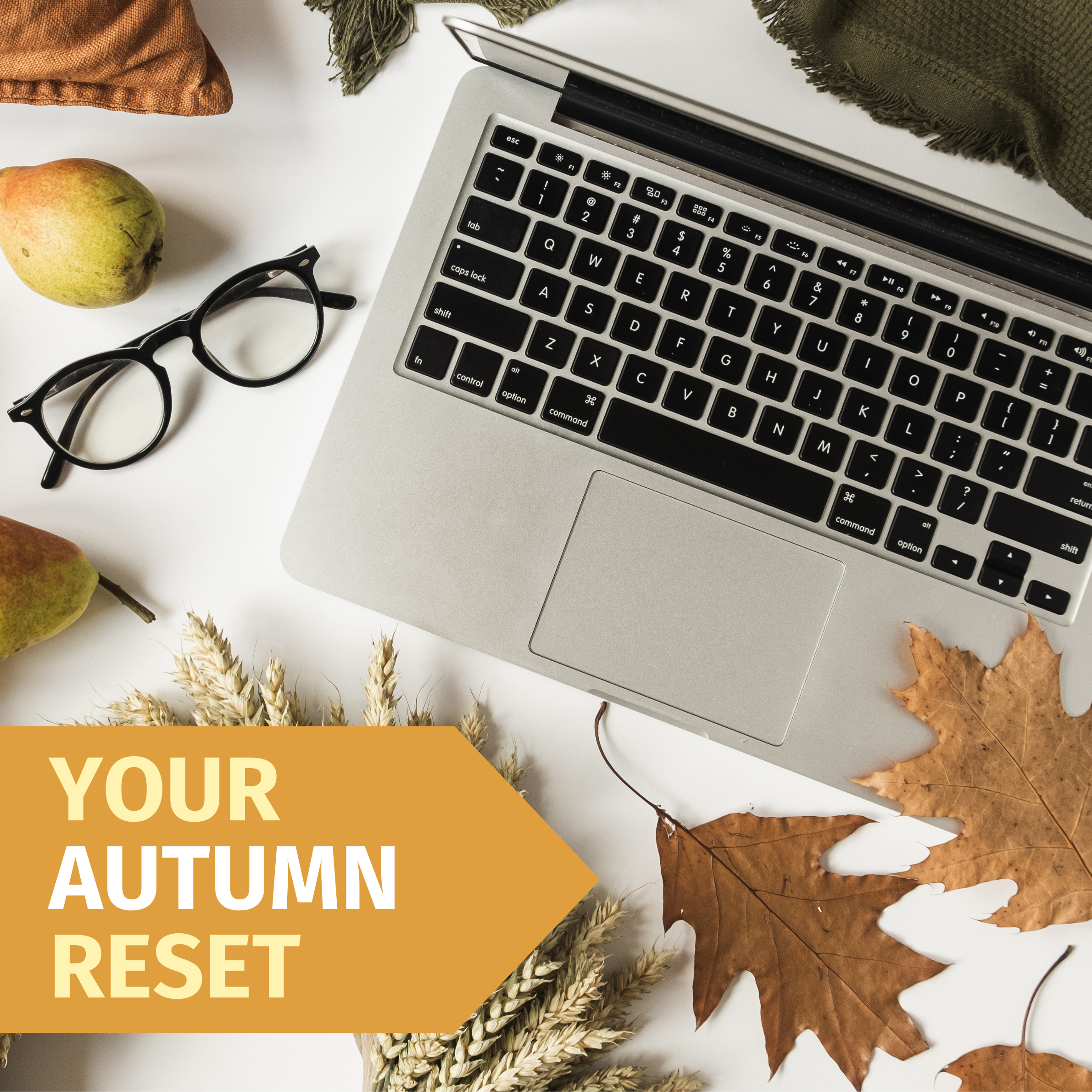 Your Autumn Reset Starts Here