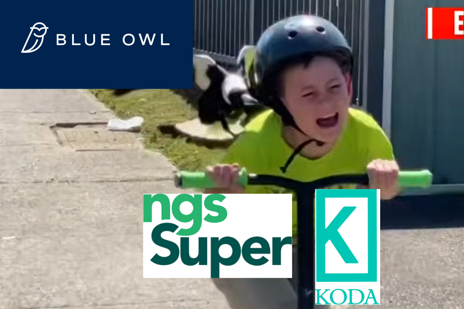 Bin Chicken Bonds - Who has Blue Owl in their super?