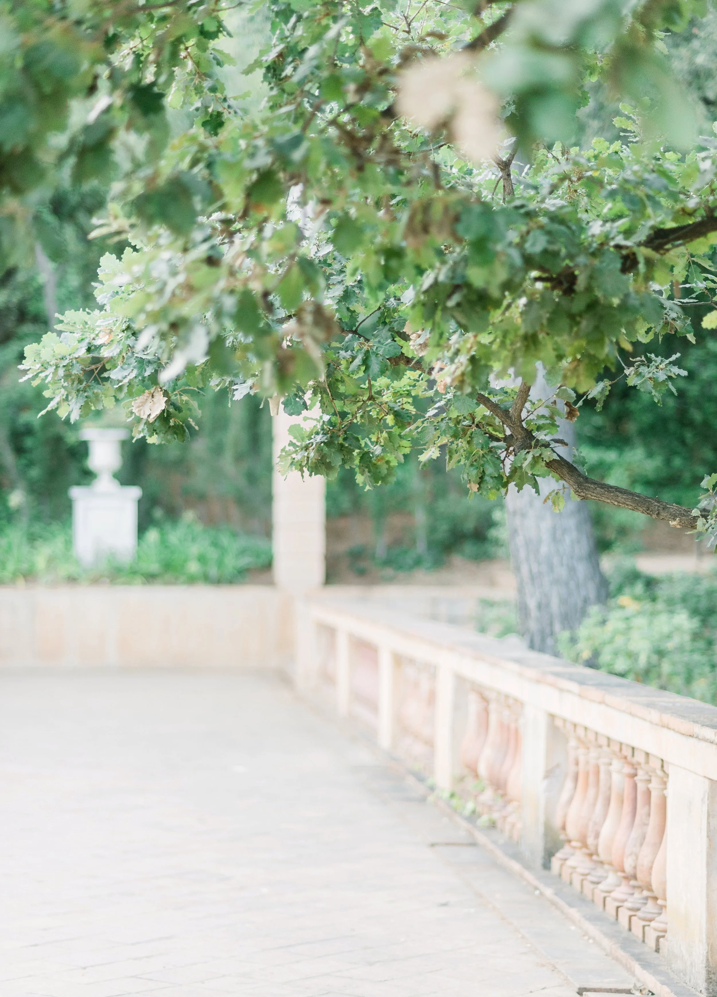 Image of trees and an elegant stone walkway