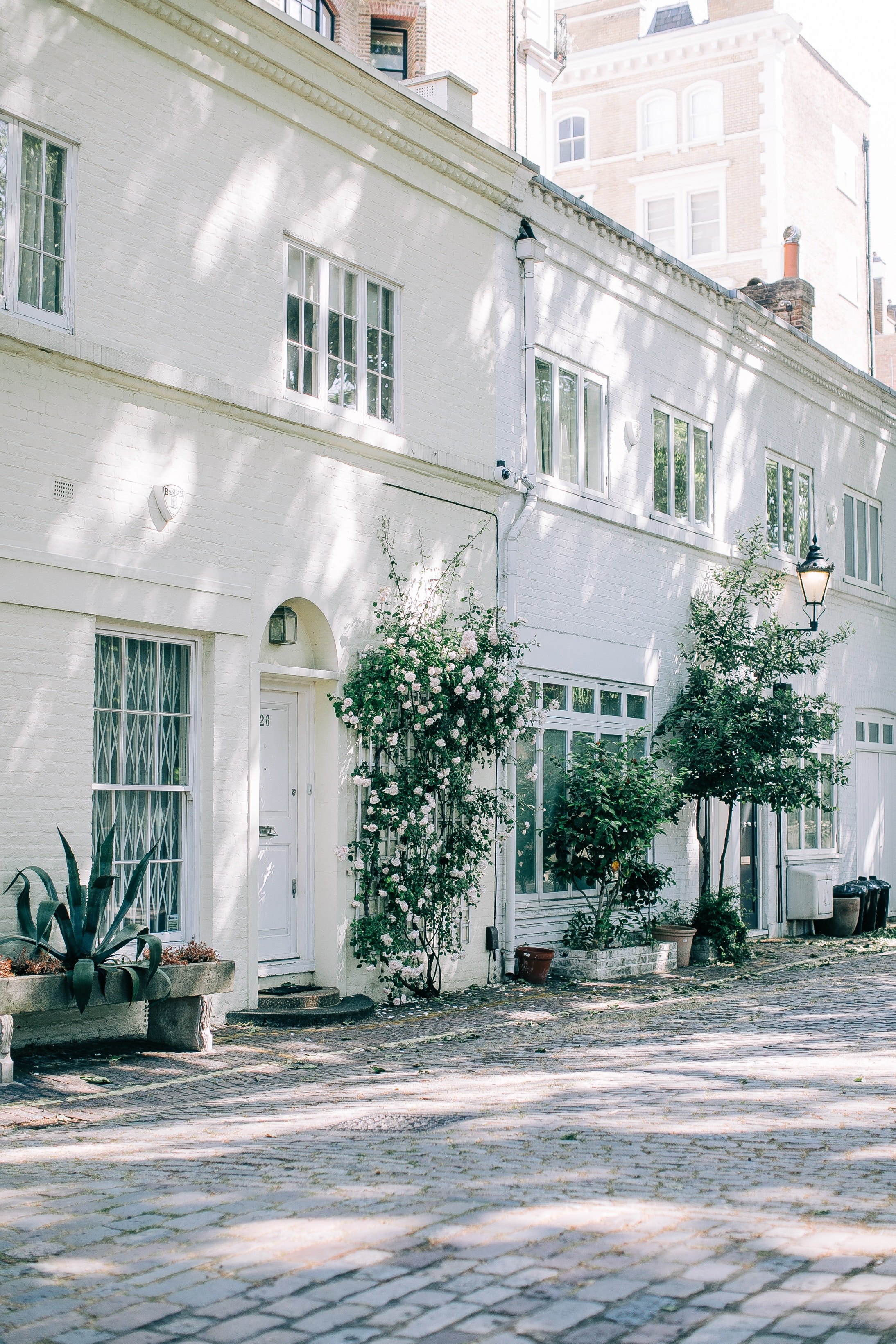 Image of a mews house with white roses outside