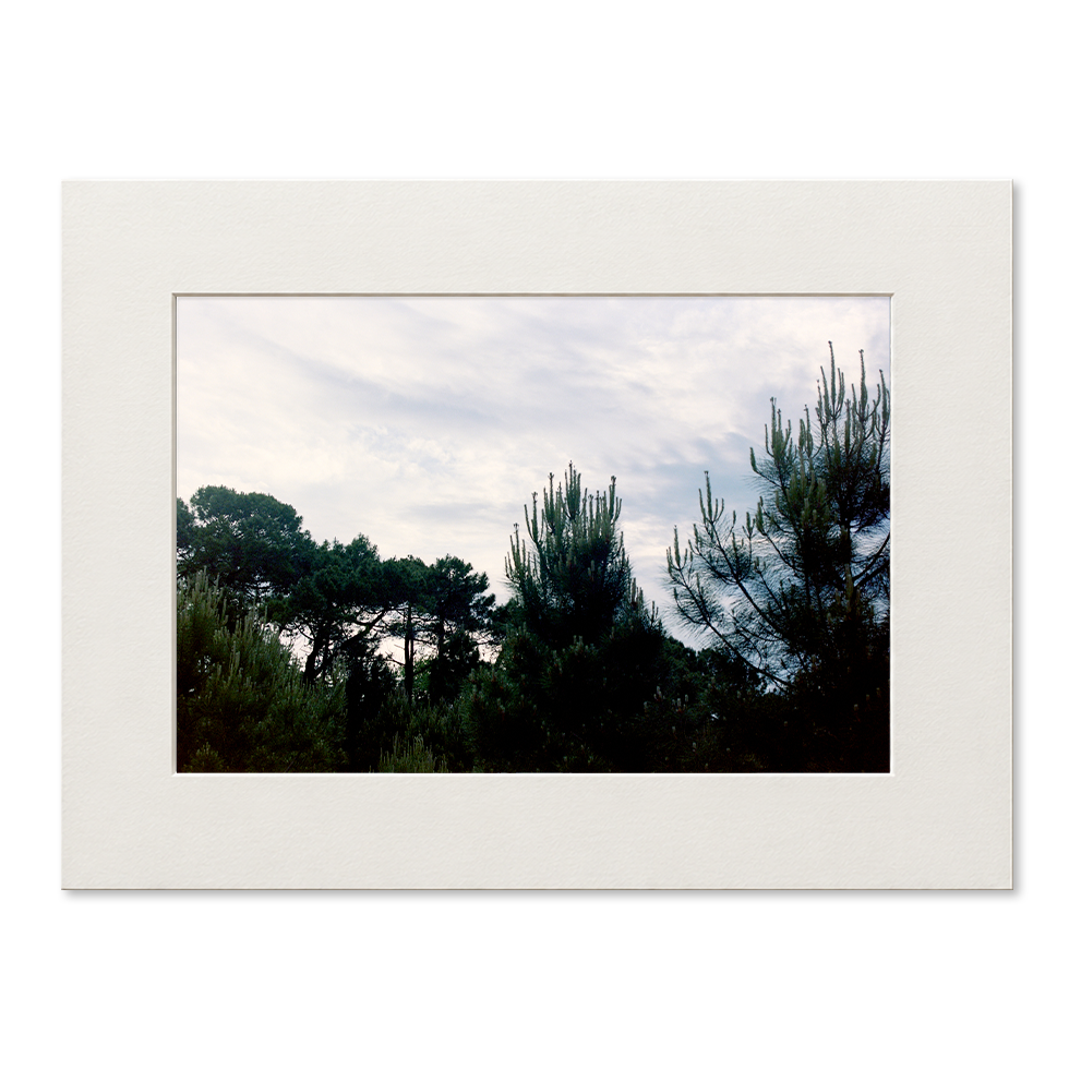 passe_partout_photo_15_grand.png
