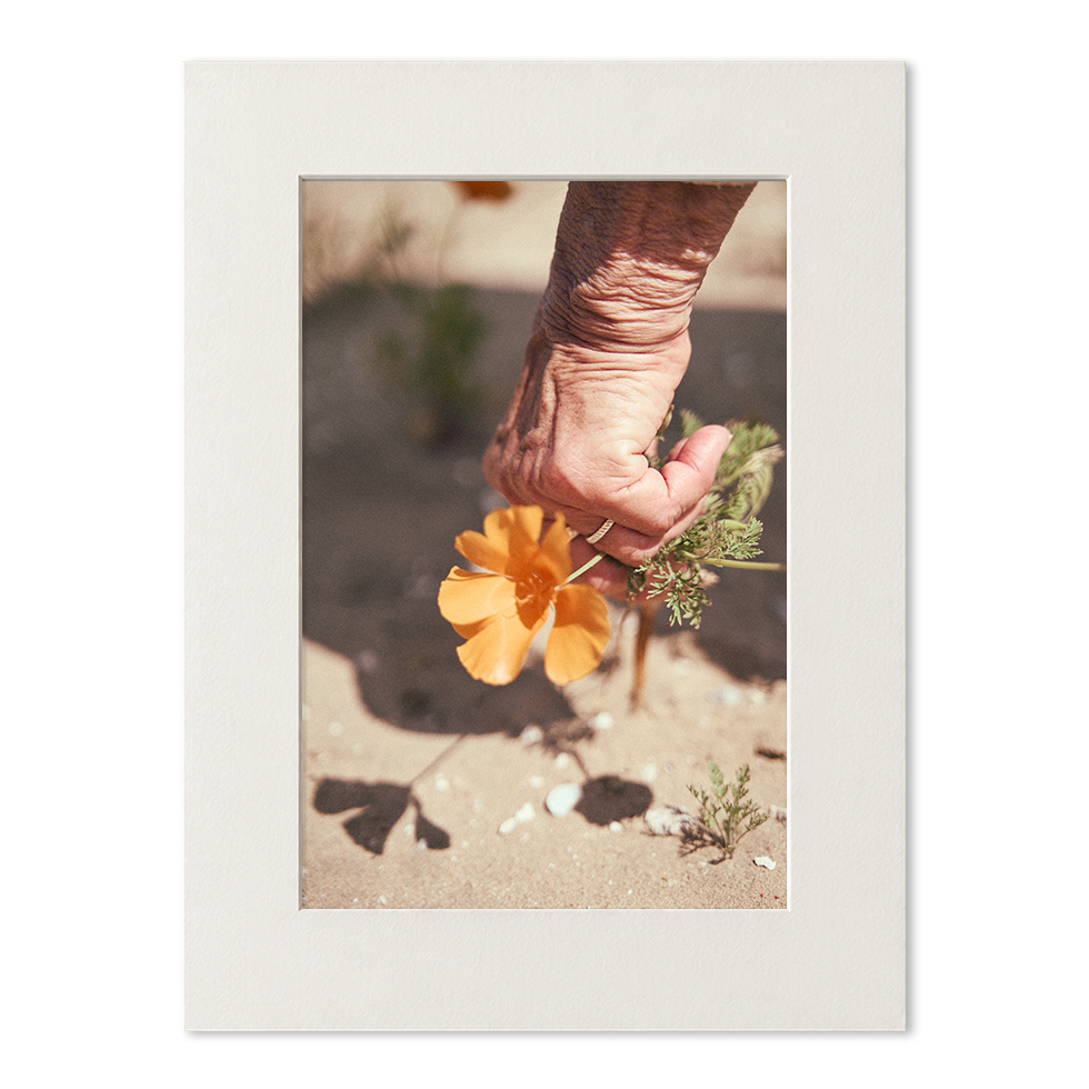 passe_partout_photo_06_grand.png