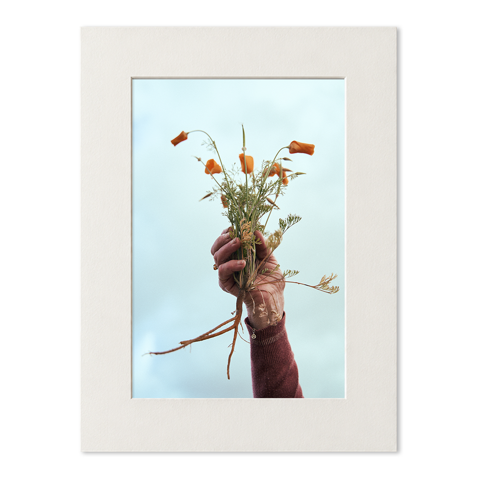 passe_partout_photo_01_grand.png
