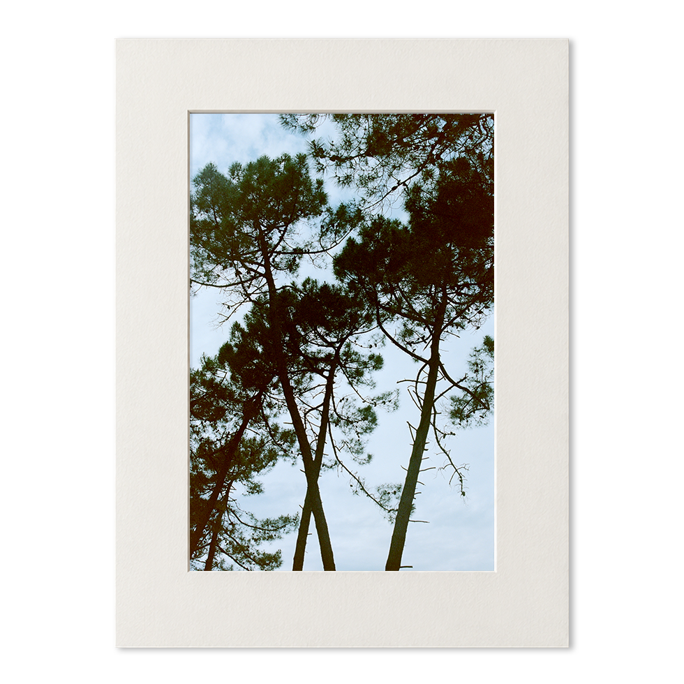 passe_partout_photo_16_grand.png
