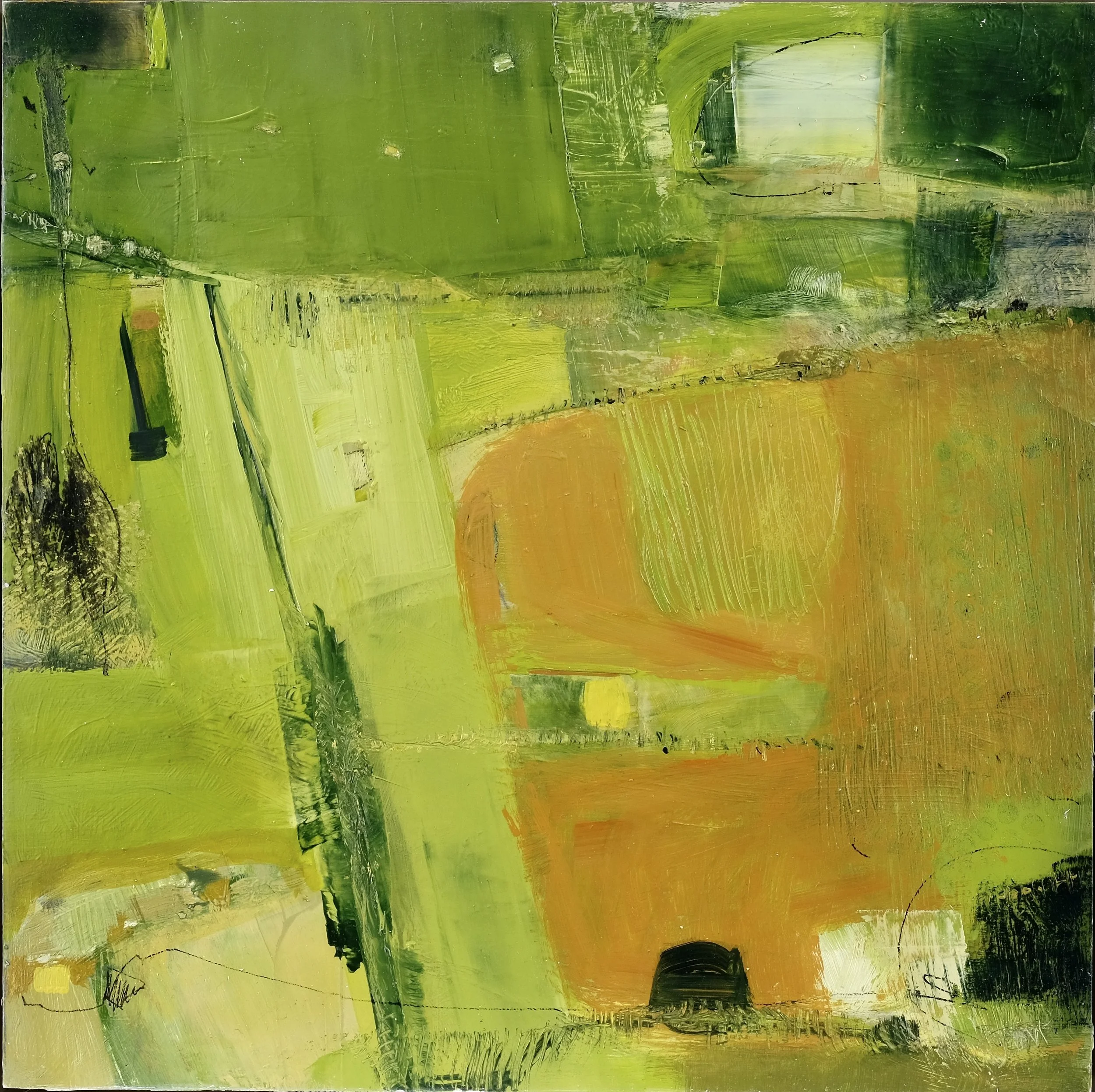 Orange Field Oil on board 43x43x5.5cm framed.jpg