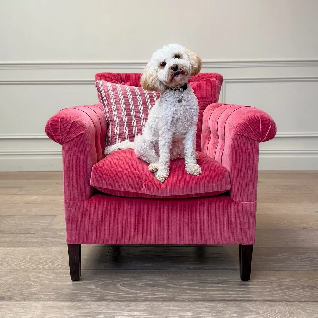 Penny looking pretty on the Handbridge&hellip;

Based on a 19th-century design, the Handbridge armchair looks perfect in a bedroom or drawing room. With hand-carved leg details and deep buttoned arms &amp; back, this armchair is a true reflection of 
