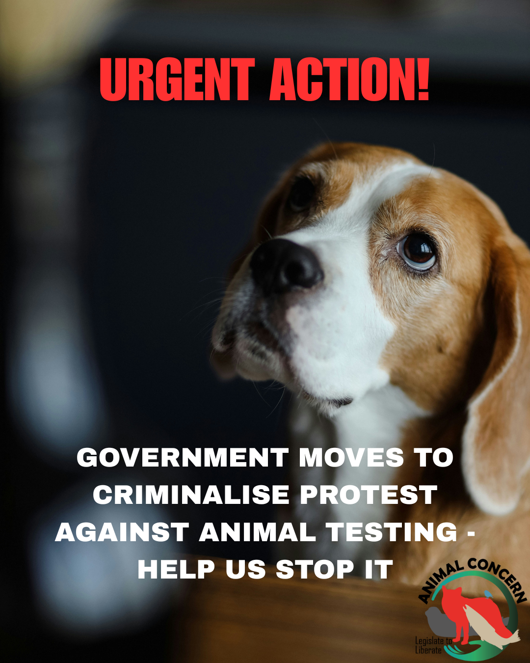 Government Moves to Criminalise Protest Against Animal Testing