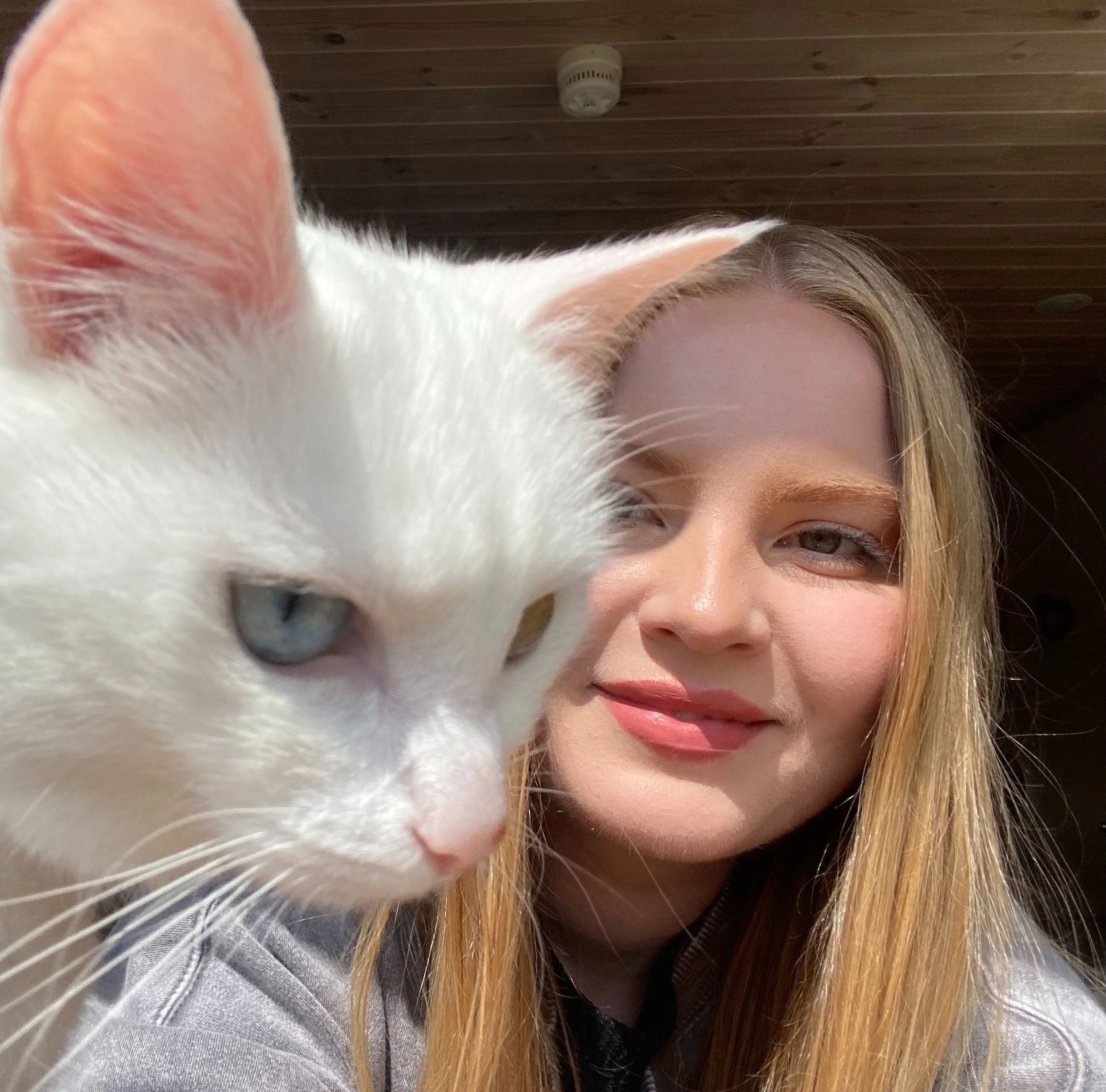 Animal Concern Welcomes New Policy &amp; Research Lead!