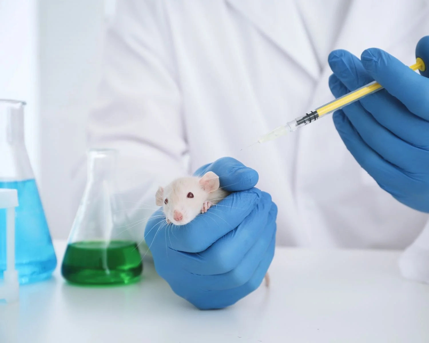 How could the proposed ban on protesting against animal testing impact Scotland?