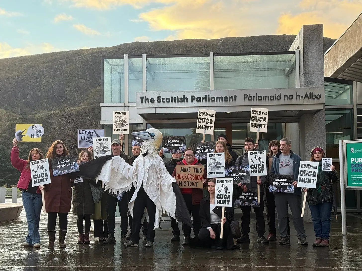Guga hunt protest turns attention to NatureScot
