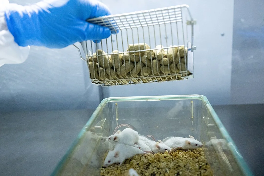 Parliament debate reiterates archaic argument that animal testing is a necessity